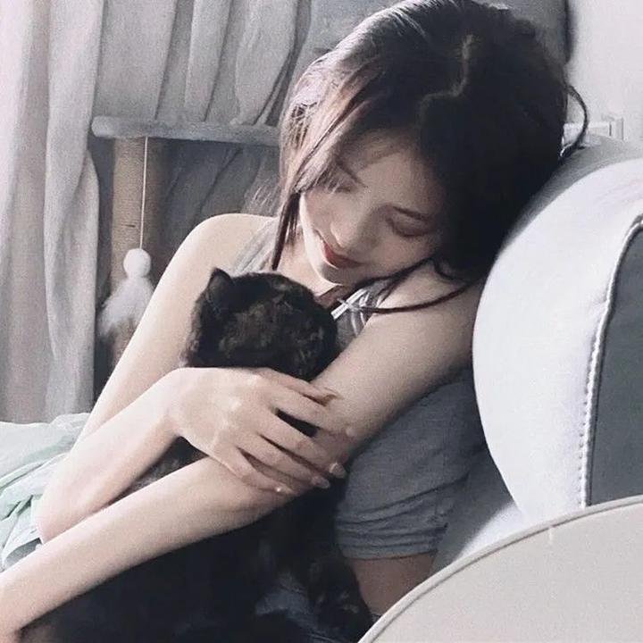 欲盖弄潮